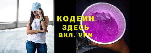 молекула духа Карпинск