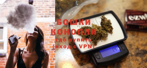 молекула духа Карпинск