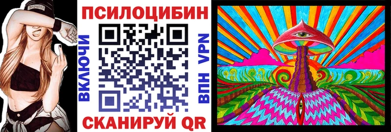 Купить закладки  Белокуриха  Псилоцибиновые грибы Psilocybine cubensis 